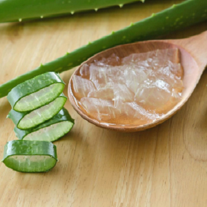 Aloe Barbadensis