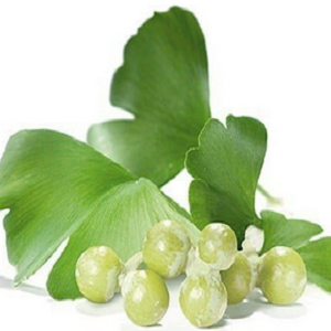 Ginkgo Biloba